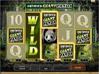 10 бесплатных вращений в слоте Untamed Giant Panda