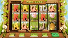 Mad bugs