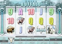 Джекпот в White Buffalo составит $7 500 