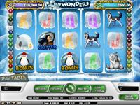 Icy wonders online slot game